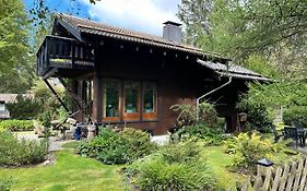 Waldzauber am See